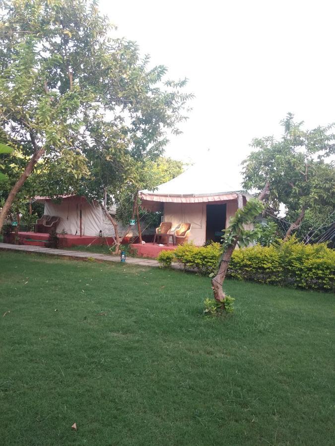 The Jungle Camp - Wildlife Resort Sawai Madhopur Luaran gambar