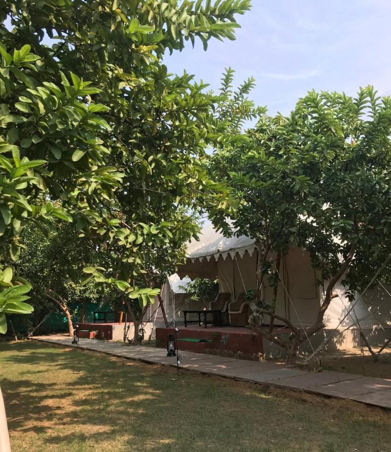 The Jungle Camp - Wildlife Resort Sawai Madhopur Luaran gambar