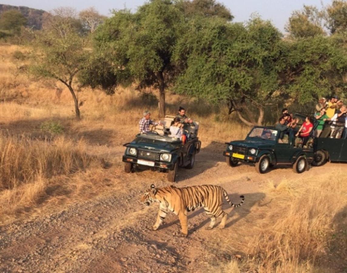 The Jungle Camp - Wildlife Resort Sawai Madhopur Luaran gambar