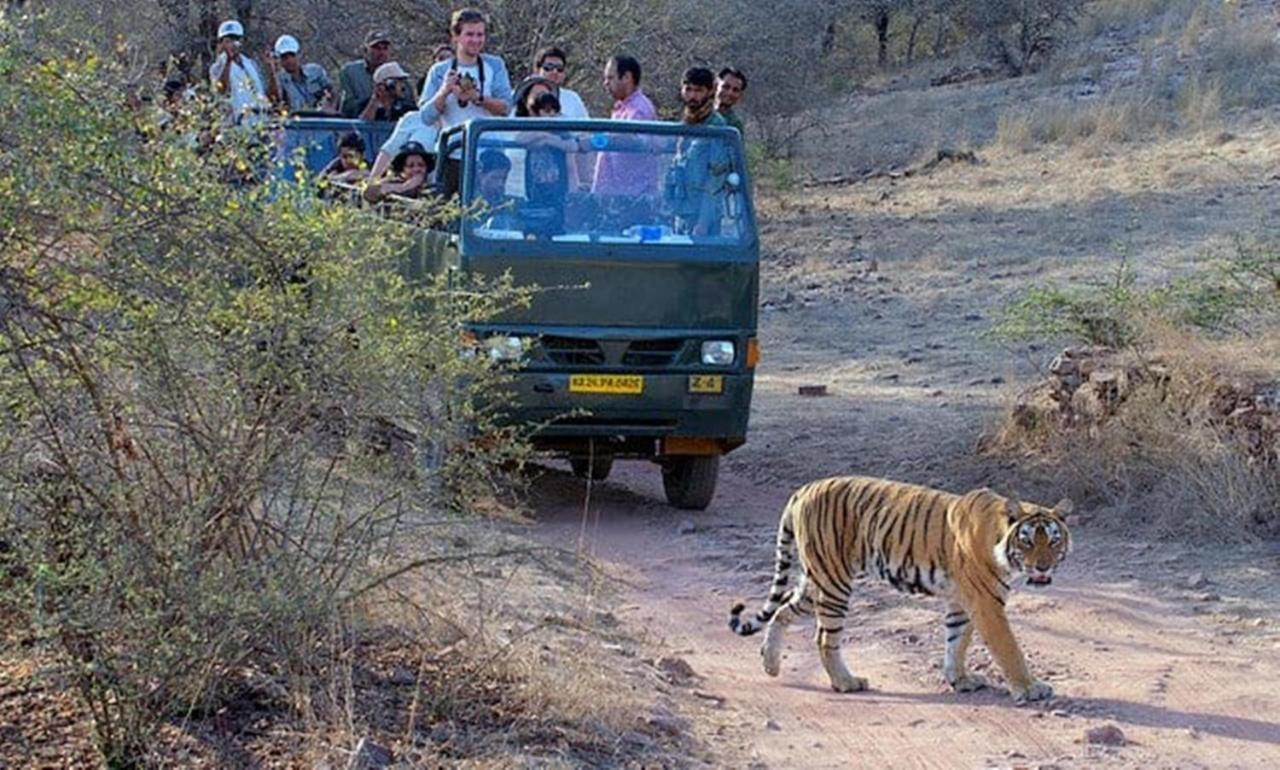 The Jungle Camp - Wildlife Resort Sawai Madhopur Luaran gambar