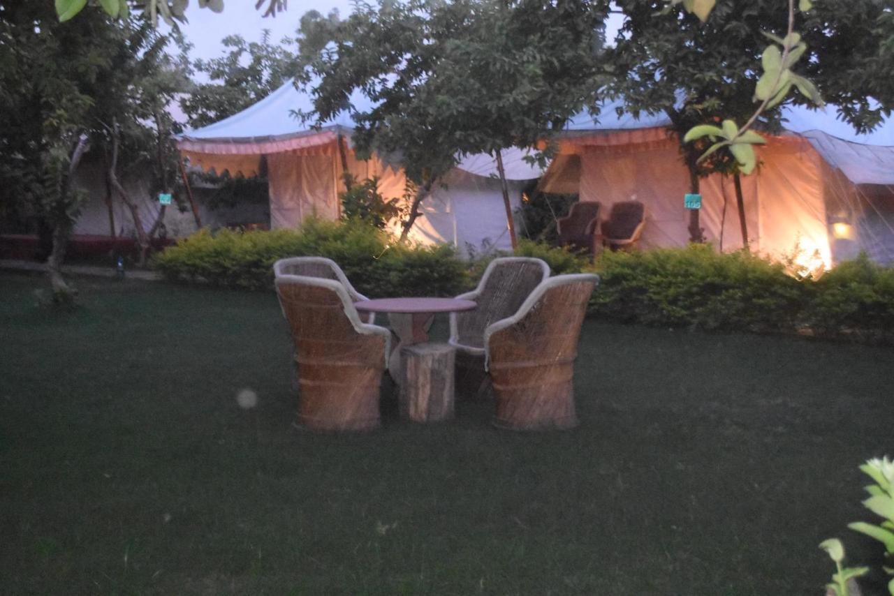 The Jungle Camp - Wildlife Resort Sawai Madhopur Luaran gambar