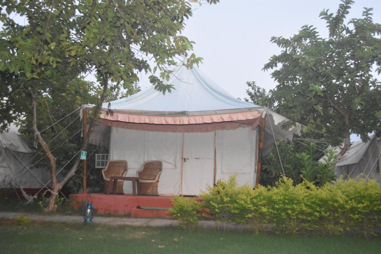 The Jungle Camp - Wildlife Resort Sawai Madhopur Luaran gambar