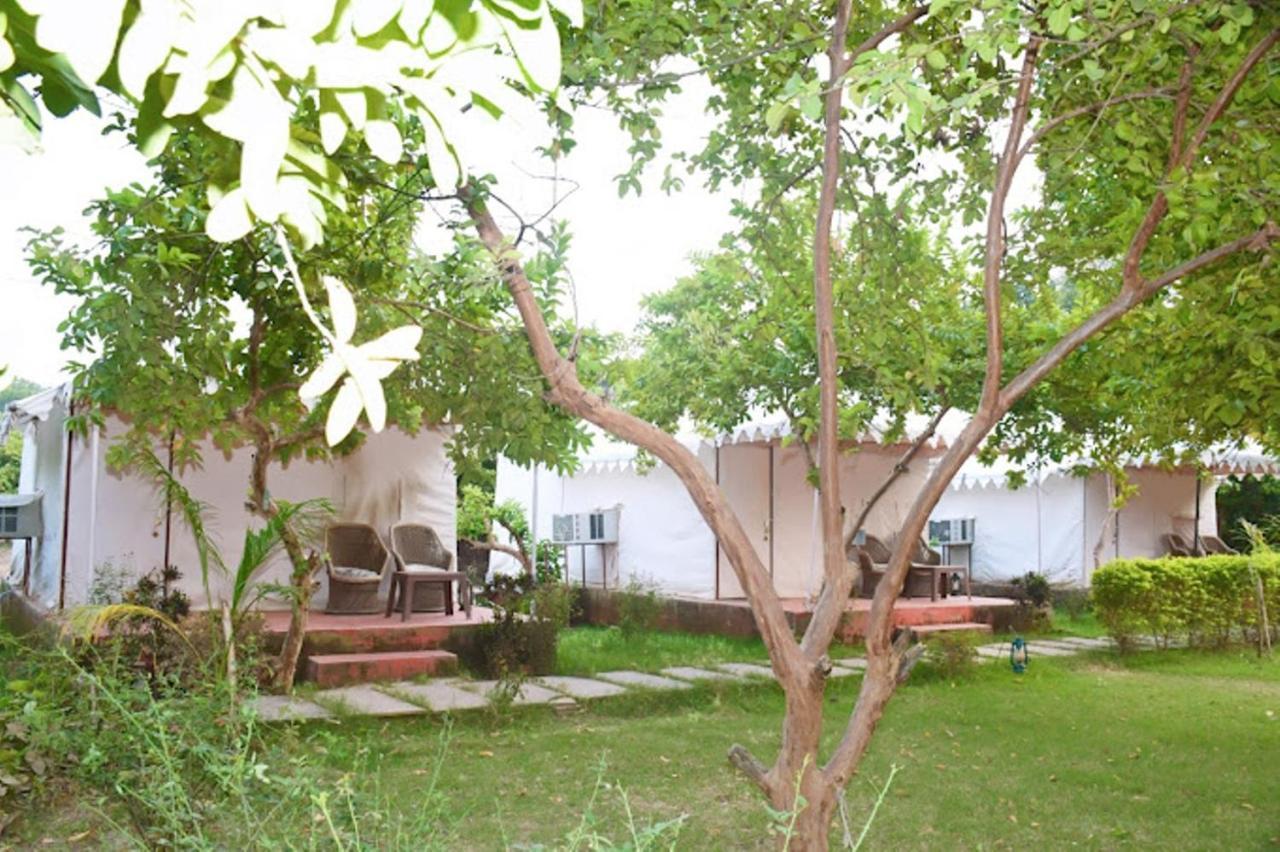 The Jungle Camp - Wildlife Resort Sawai Madhopur Luaran gambar