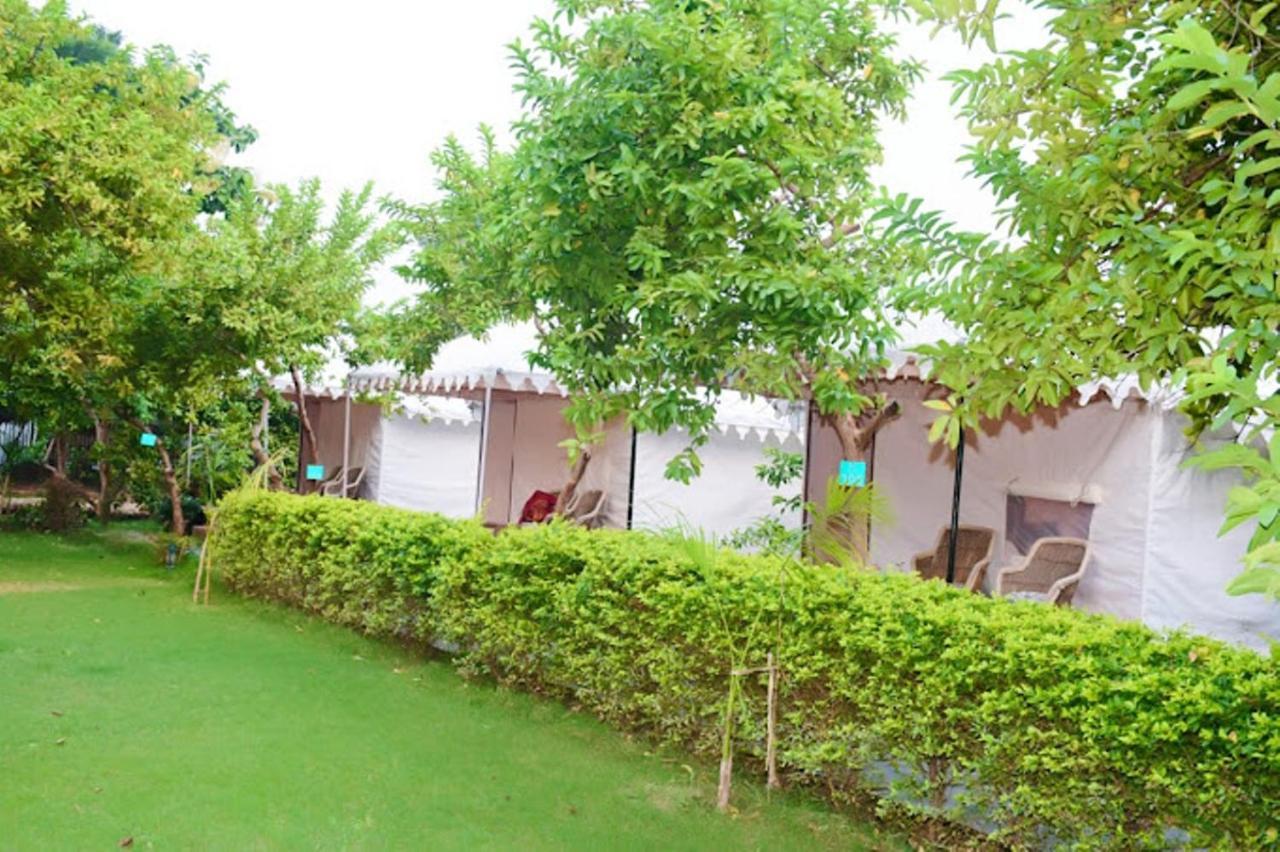 The Jungle Camp - Wildlife Resort Sawai Madhopur Luaran gambar