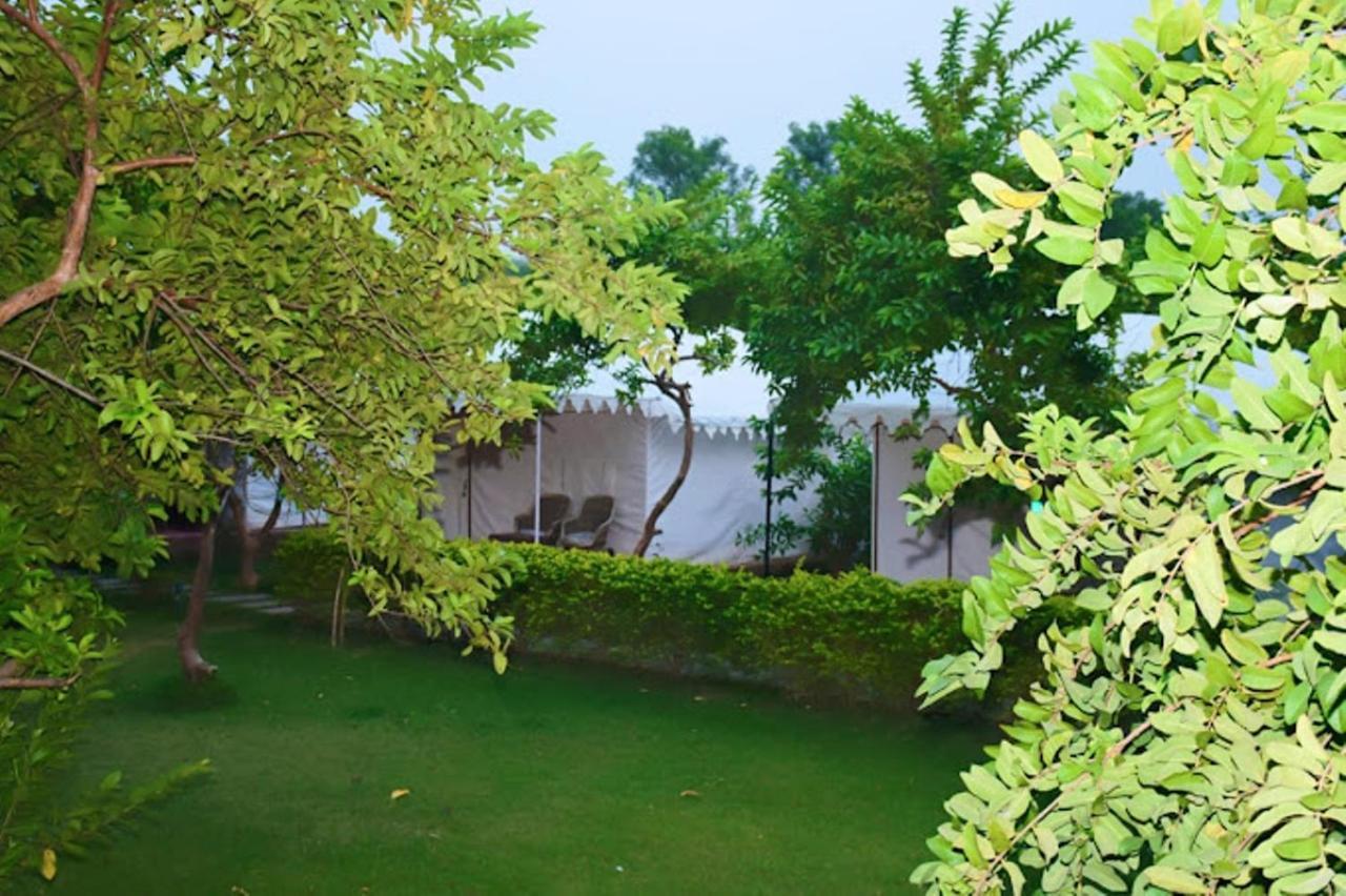 The Jungle Camp - Wildlife Resort Sawai Madhopur Luaran gambar